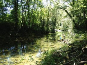 pitch camping des sources