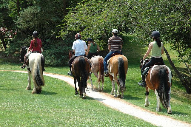 Equitation camping Hérault