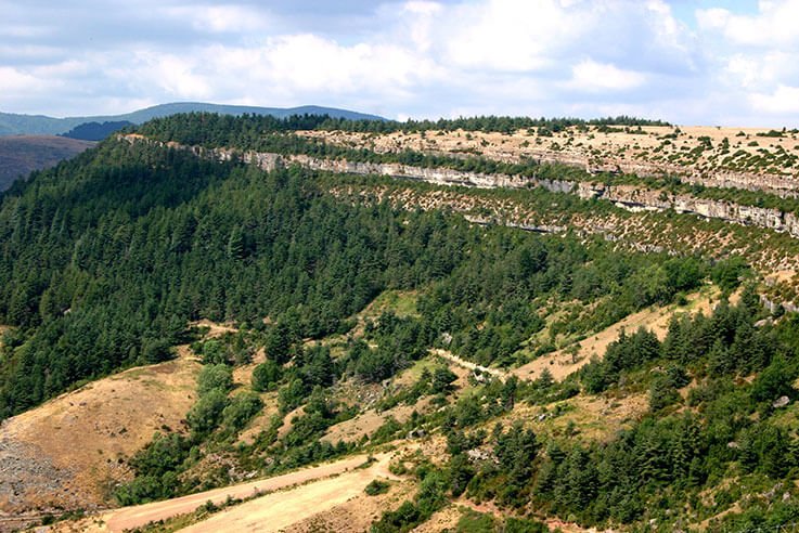 Parc National des Cévennes