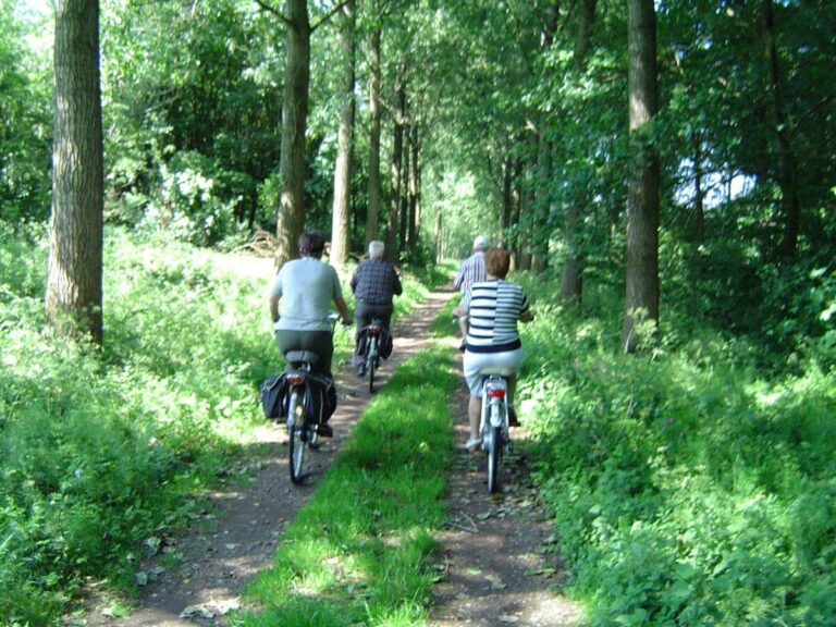 Circuits vélo VTT proche Soubès