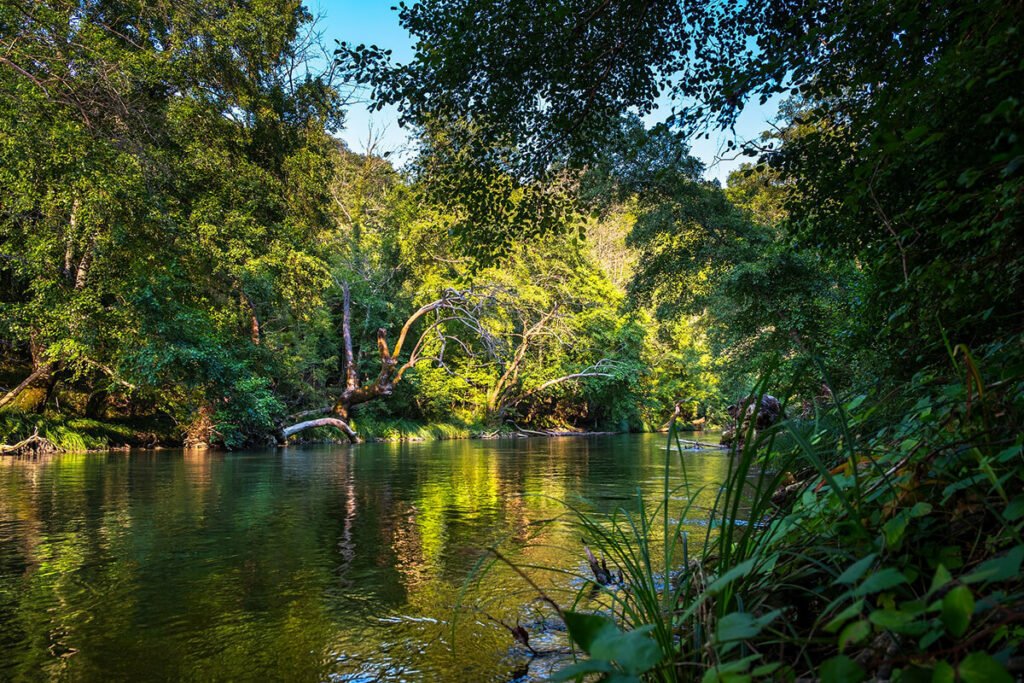 Camping des Sources de Soubès