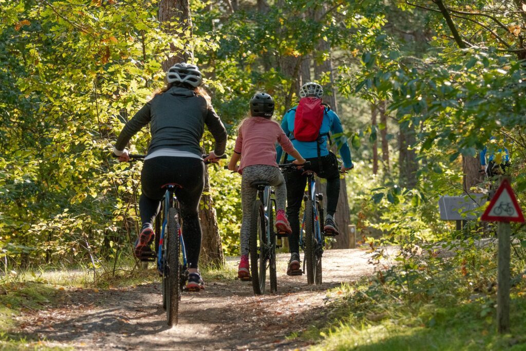 velos en famille